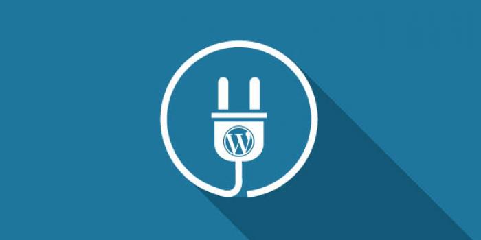 5 Plugin WordPress untuk Mempercepat Website Anda